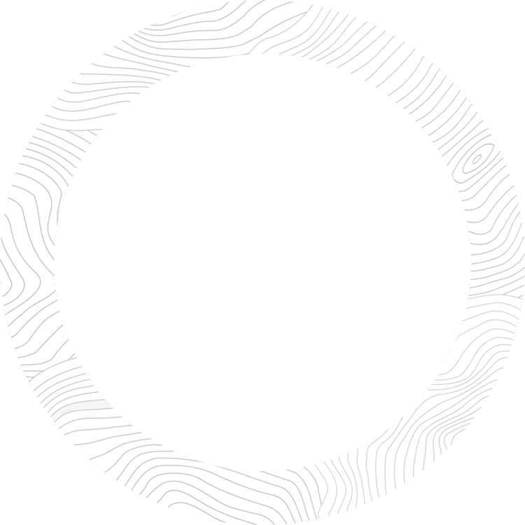workflow Image